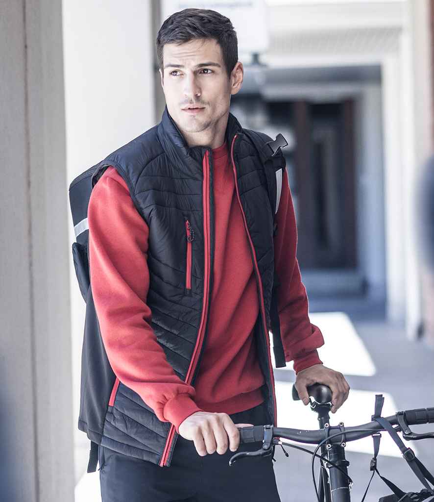 Regatta Chaleco Híbrido Anderson Para Hombre, Poliamida Ligera Con Warmloft Aislante, Repelente Al Agua Y Refuerzo Elástico En Sisas