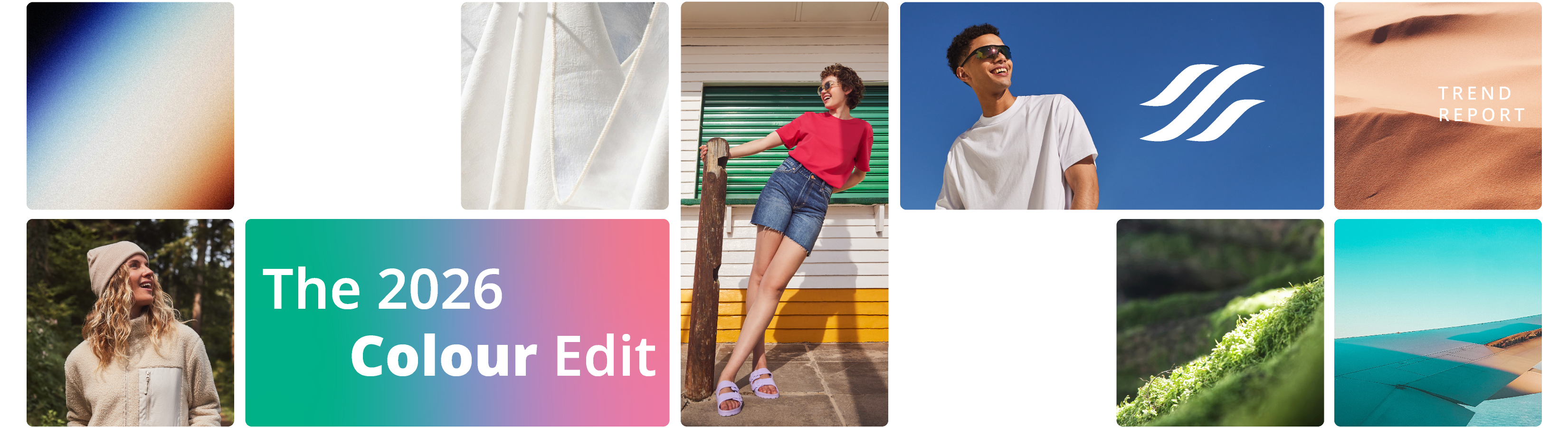 PenCarrie 2026 Colour Edit - Trending Shades