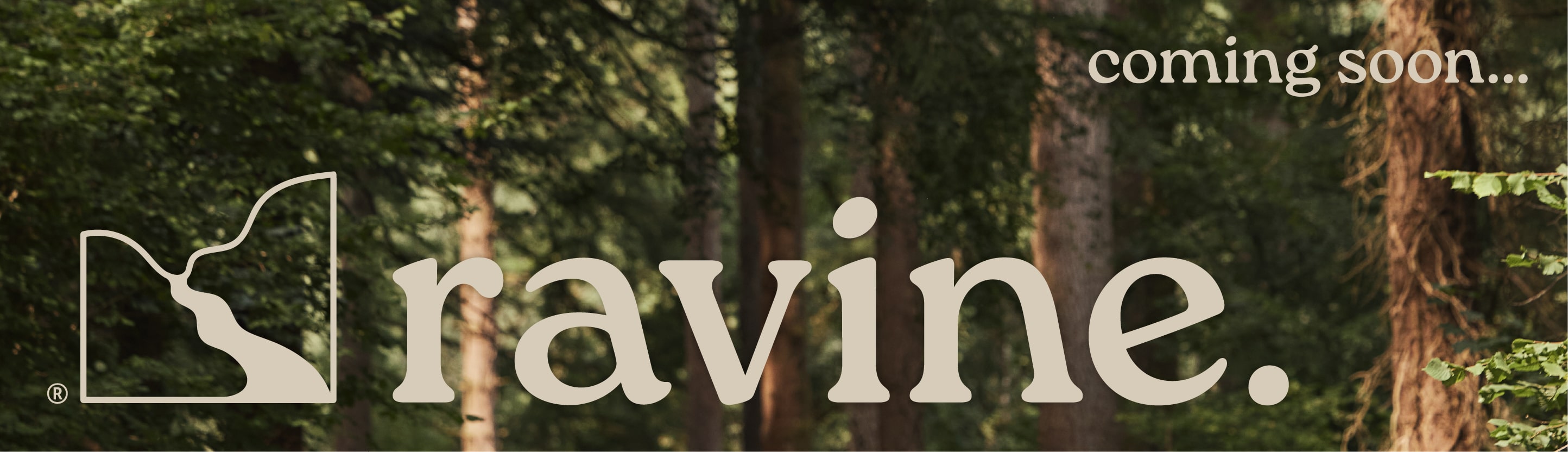 Coming soon...